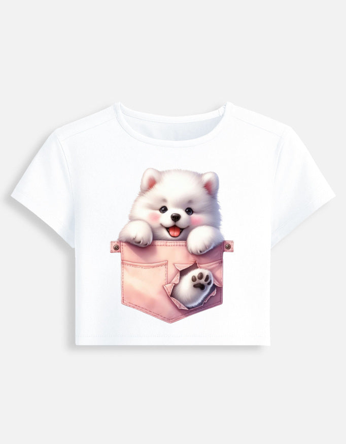 Front_1_c_1.jpg