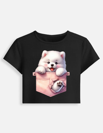 Front_1_c_2.jpg