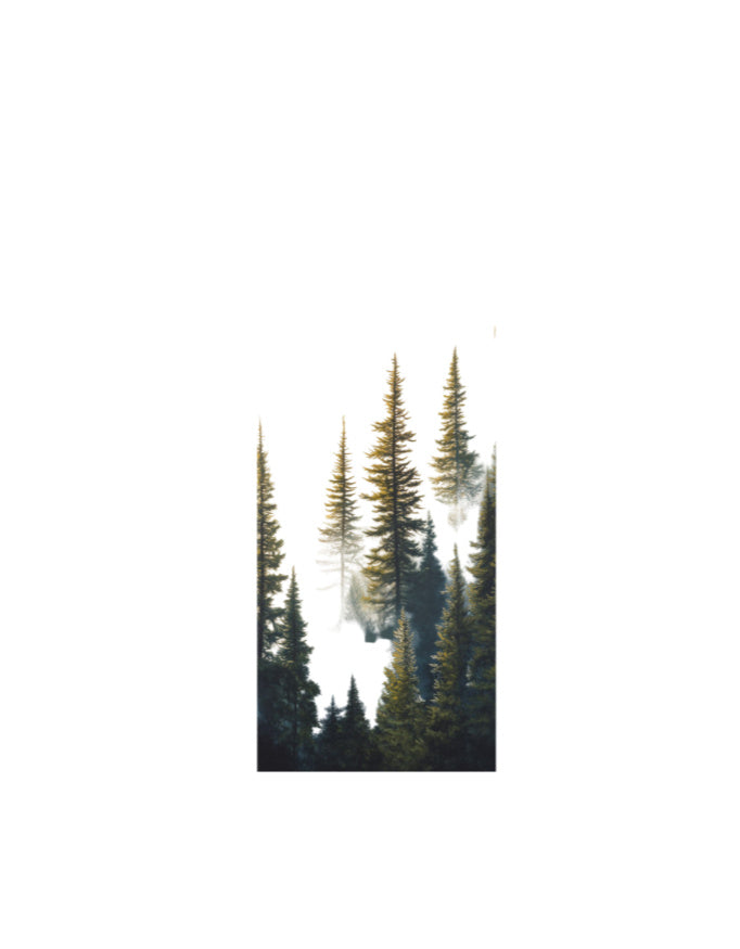 Front_1_c_30.jpg