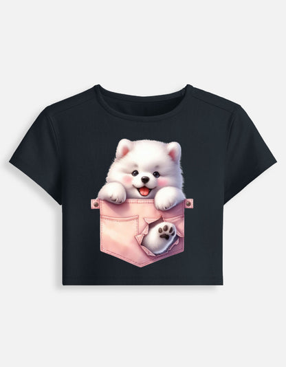 Front_1_c_3.jpg
